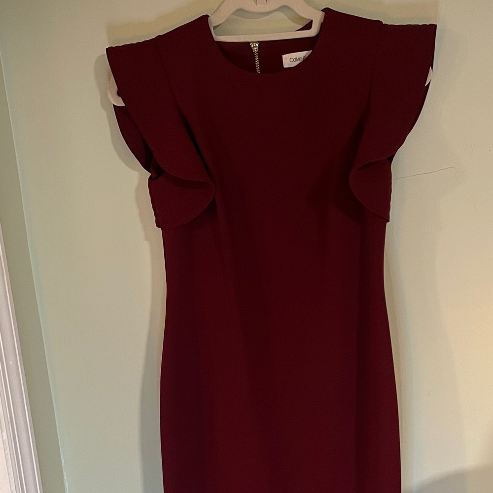 Calvin Klein Deep Red Mini Dress